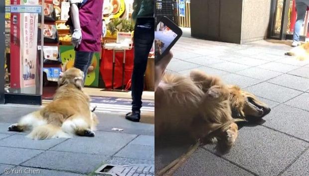 에어컨마트 이미지