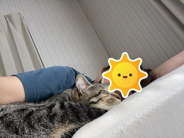집사 옆에서 함께 낮잠을 잔 고양이. 네티즌들은 집사를 걱정해서 한 행동이라고 짐작했다.