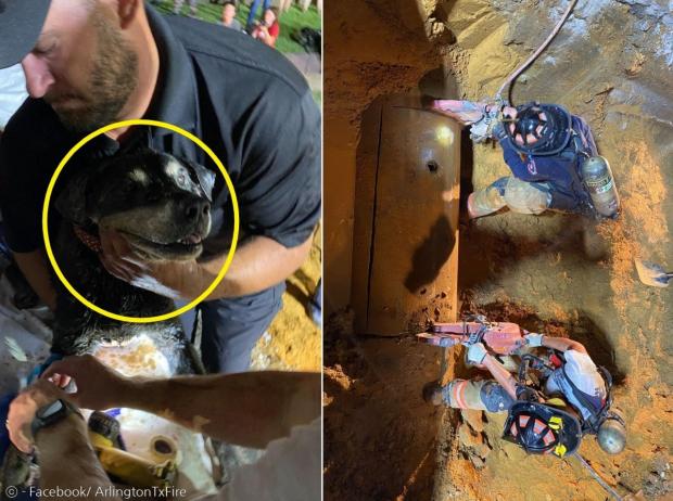 소방관들이 배수관을 절단하고 배수관 122미터 안으로 들어간 청각장애견 조이(노란 원)를 구출했다. [출처: 알링턴 소방서 페이스북]