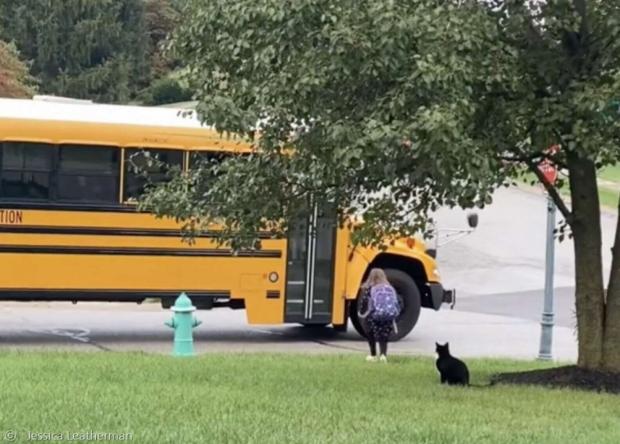 크레이그는 학교 버스가 모퉁이를 돌아서 사라질 때까지 자리를 지킨다고 한다. 크레이그는 초등생 집사 마중에 진심이다.