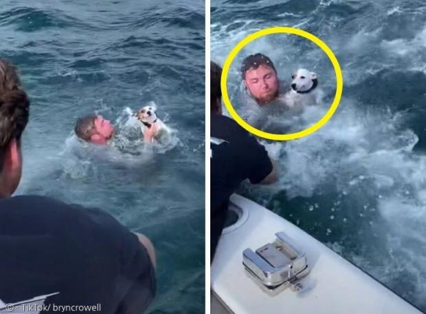 한 청년(노란 원)이 바다에 뛰어들어서, 헤엄친 강아지를 구조했다. [출처: 번 크로웰 틱톡]