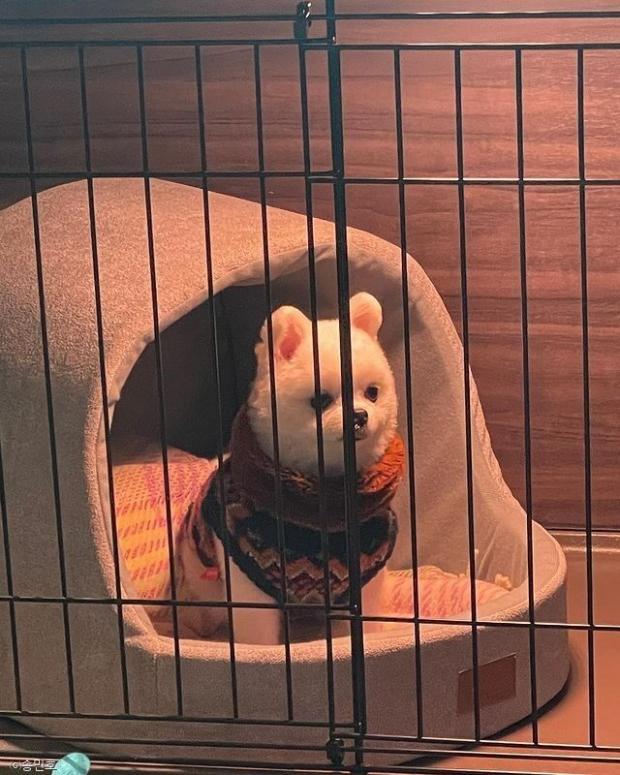 쿠마스토리 이미지