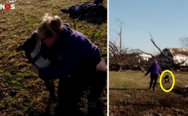토네이도가 강타한 미국 켄터키 주에서 한 여성이 반려견 놀라(노란 원)를 찾고 부둥켜 안았다.  [출처: 네덜란드 공영방송 NOS 페이스북 갈무리]