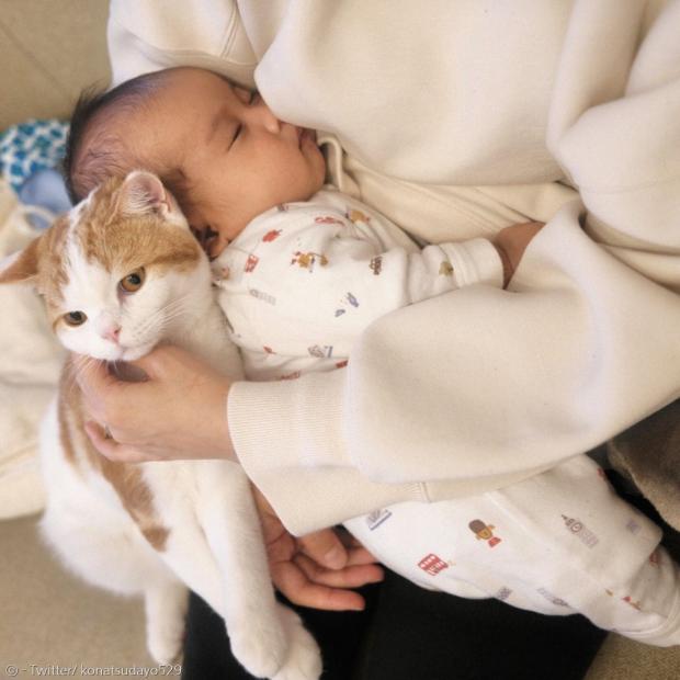 고양이 코나츠가 아기 옆에 붙어서 자신도 안아달라고 집사에게 졸랐다.