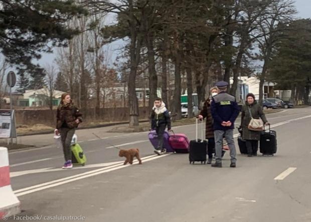 반려견 목줄을 잡고 루마니아 국경을 건너는 우크라이나 피난민 가족. [출처: Facebook/ casaluipatrocle]