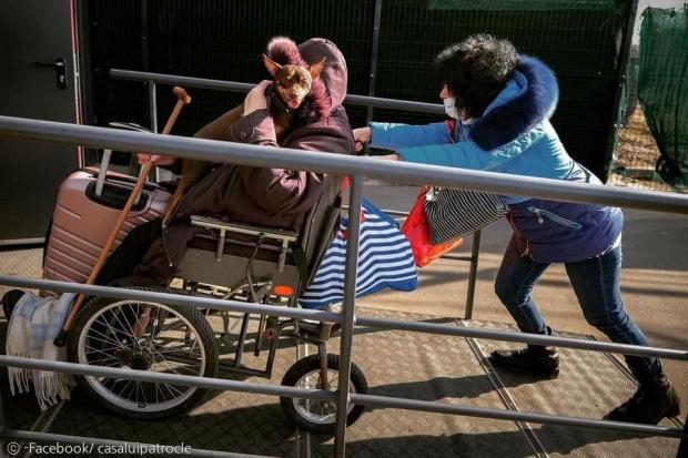 우크라이나 여성이 강아지를 안은 가족의 휠체어를 밀고 있다. [출처: Facebook/ casaluipatrocle]