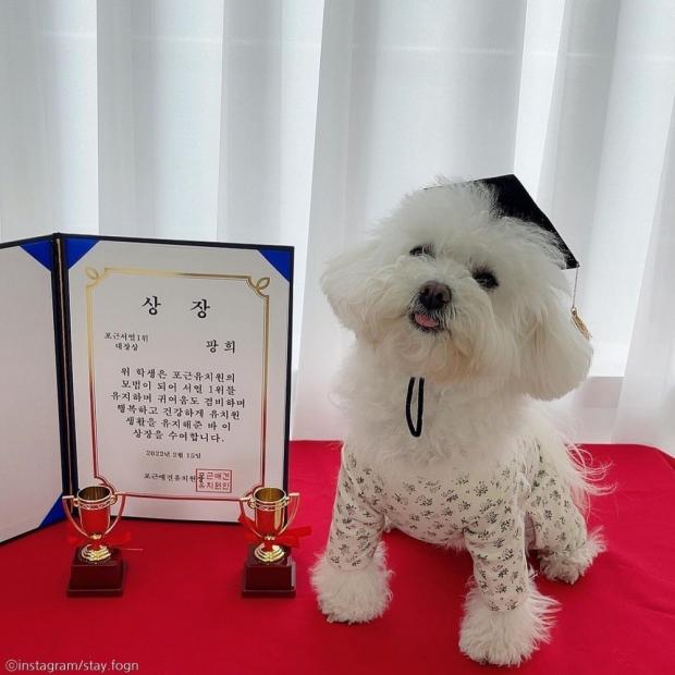상장친구들 이미지
