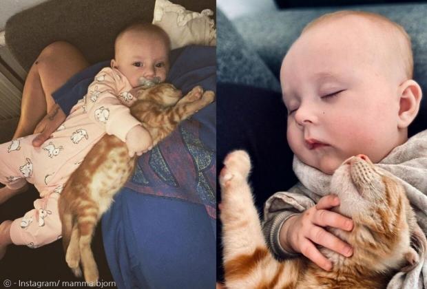 아기 로냐와 새끼고양이 식스텐. [출처: Instagram/ mamma.bjorn]