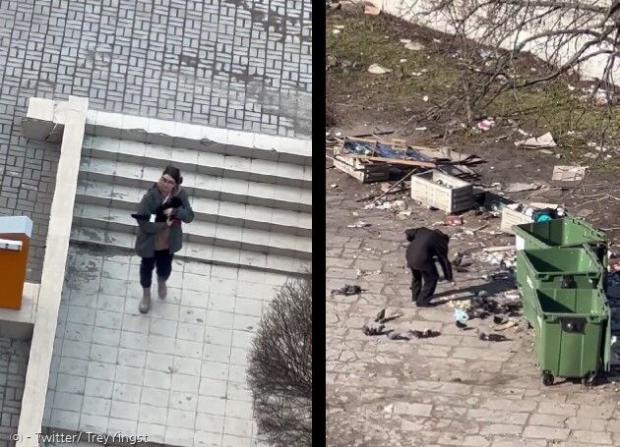 우크라이나 수도 키이우에서 공습경보가 울리자 고양이를 달래준 여성(왼쪽)과 러시아군 폭격 중에도 새들에게 밥을 챙겨준 할아버지.[출처: 트레이 잉스트의 트위터]