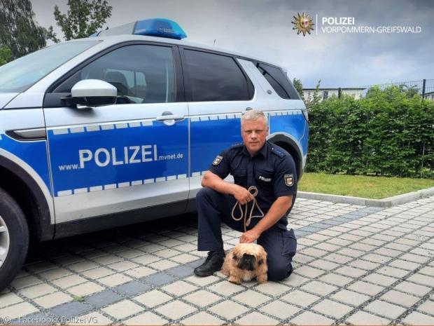 이름을 밝히지 않은 독일 경찰이 여가시간에 사비를 들여서 제작한 실종전단지를 배포한 덕분에 반려견 버디가 가족의 품으로 돌아왔다.