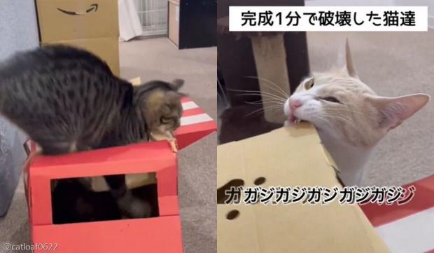 숨숨집 이미지