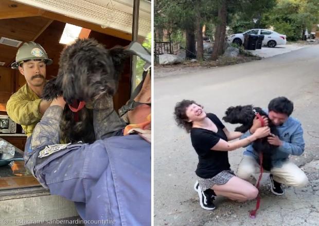 산사태의 일종인 이류에 휩쓸려갔다가 살아 돌아온 강아지 클로이(왼쪽 사진). 클로이는 가족을 보고 흥분을 감추지 못했다. [출처: 샌버나디노 카운티 소방서 인스타그램]