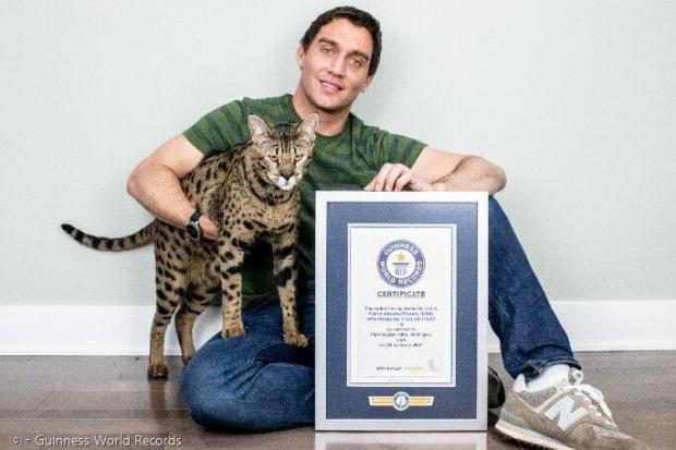 기네스 신기록에 세계에서 가장 키 큰 고양이로 이름 올린 사바나 고양이 펜리르 안타리스 파워스와 집사 윌 파워스. [출처: 기네스 세계 신기록 위원회]