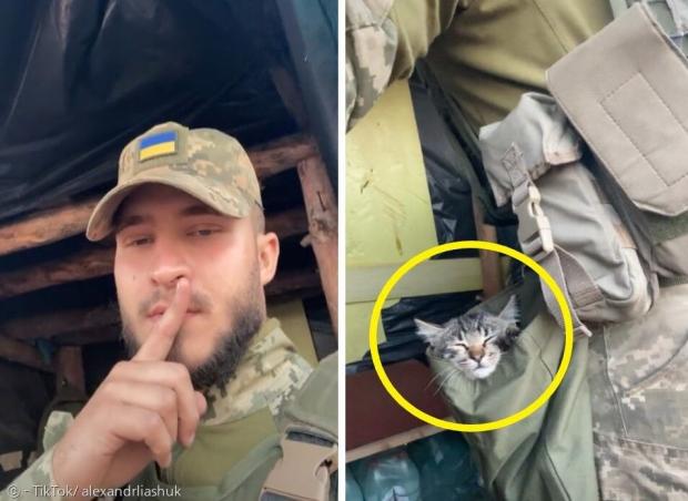 우크라이나 군인 알렉산더 랴슈크(왼쪽 사진)가 자신의 바지 주머니 속에서 조는 고양이(노란 원)를 틱톡에서 소개했다. [출처: 알렉산더 라슈크의 틱톡]  