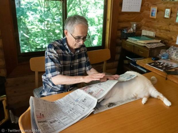 아빠의 반격.