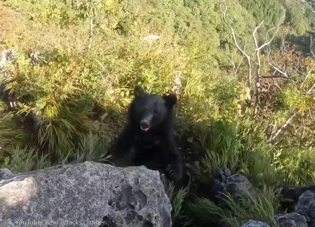 일본 등산객이 후타코산에서 사진 속 곰의 공격을 받았다. [출처: 등산가와 곰 유튜브]