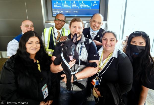 유나이티드 항공 직원들이 폴라리스의 안락사를 막고, 4개월 격리 기간에 공항에서 강아지를 돌봤다.