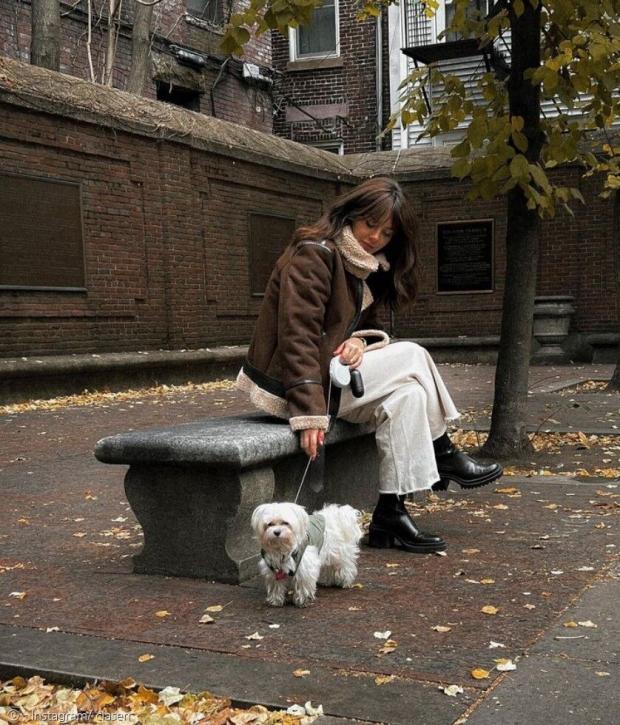 빔바는 대도시 생활에 익숙한 뉴요커 강아지다. [출처: 클라라 세라다의 인스타그램]