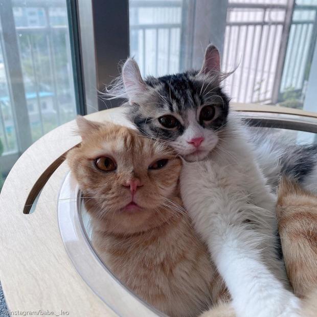 츄릅 이미지
