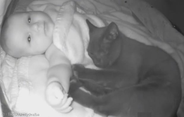 밤에 아기 요람을 찾아간 검은 고양이 루나. [출처: 켈리 드 알바의 틱톡]