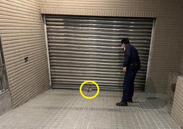 지룽 시 경찰이 차고 문을 개방해서 길고양이(노란 원)를 풀어줬다. [출처: 지룽 시 경찰 페이스북]