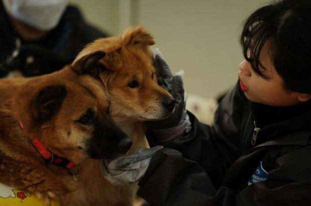 지난 1월 16일 유기견 보호소 '티구니하우스'를 찾은 강아지숲 임직원들