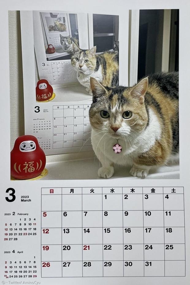 3월 달력에만 무한 고양이 사진이 들어간다.