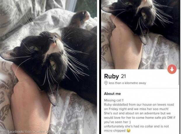 집사 에린 조핸슨이 데이팅앱에 잃어버린 고양이 루비의 프로필(오른쪽 사진)을 올린 덕분에 고양이를 빨리 찾았다.