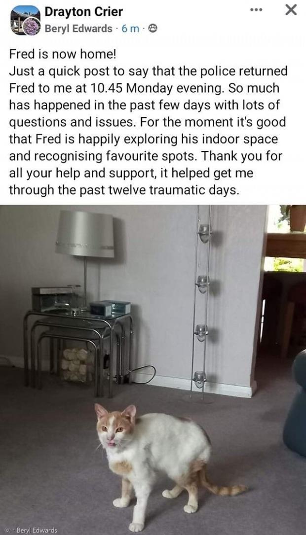 집사가 페이스북에서 고양이 프레드가 집에 돌아왔다는 기쁜 소식을 전했다.