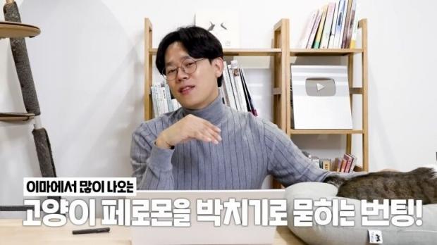 냥냥표현]고양이가 집사를 사랑할 때 하는 애정표현! - Kollo
