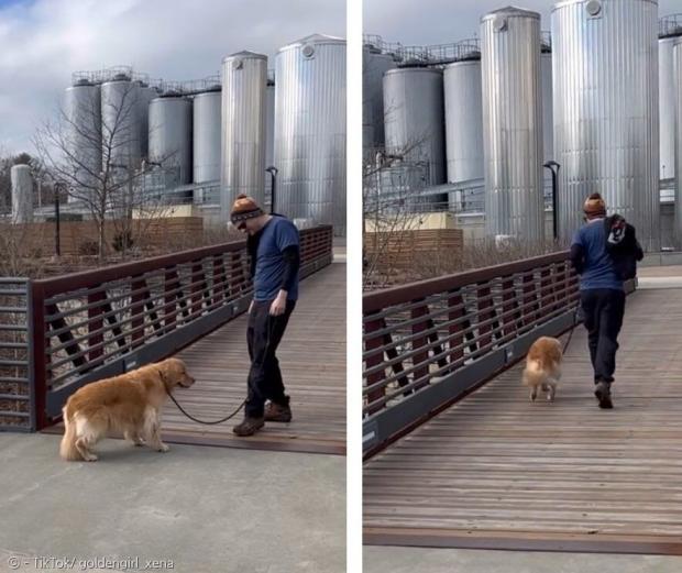 다리 건너는 게 세상에서 제일 무서운 개 지나. [출처: 지나의 틱톡]
