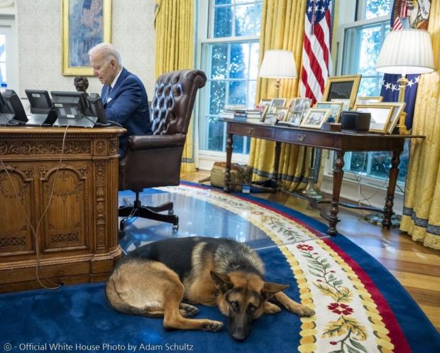 조 바이든 미국 대통령과 반려견 커맨더. [출처: 백악관 공식 사진/ 애덤 슐]