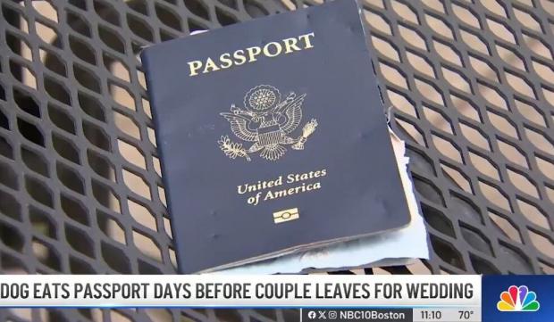 예비 신랑 도나토 프라타롤리의 여권. 겉보기에 멀쩡해 보인다. [출처: NBC 보스턴 방송 갈무리]
