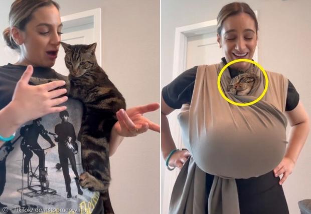 고양이 체이스는 항상 안아달라고 집사한테 보챈다. 임신한 집사는 아기와 고양이를 둘 다 어떻게 안아줄지 고민했다. [출처: TikTok/ dontstopmeowing]