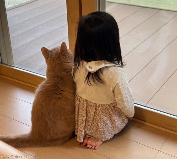 아이와 고양이가 나란히 앉아서 창밖을 보고 있다. [출처: X(Twitter)/ jieituma]