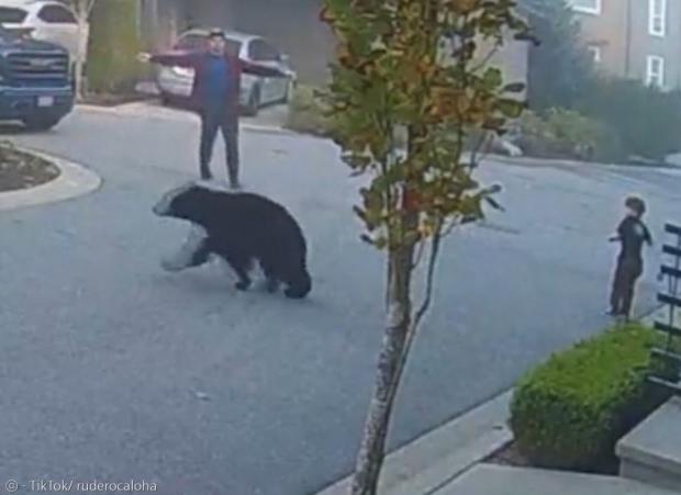 남성이 두 팔을 벌린 이유는 몸집을 크게 보이게 해서 곰이 도망치도록 유도한 것이다. 아이도 도망치지 않고 그 자리에서 가만히 있었는데, 그것도 좋은 대처방법이다.