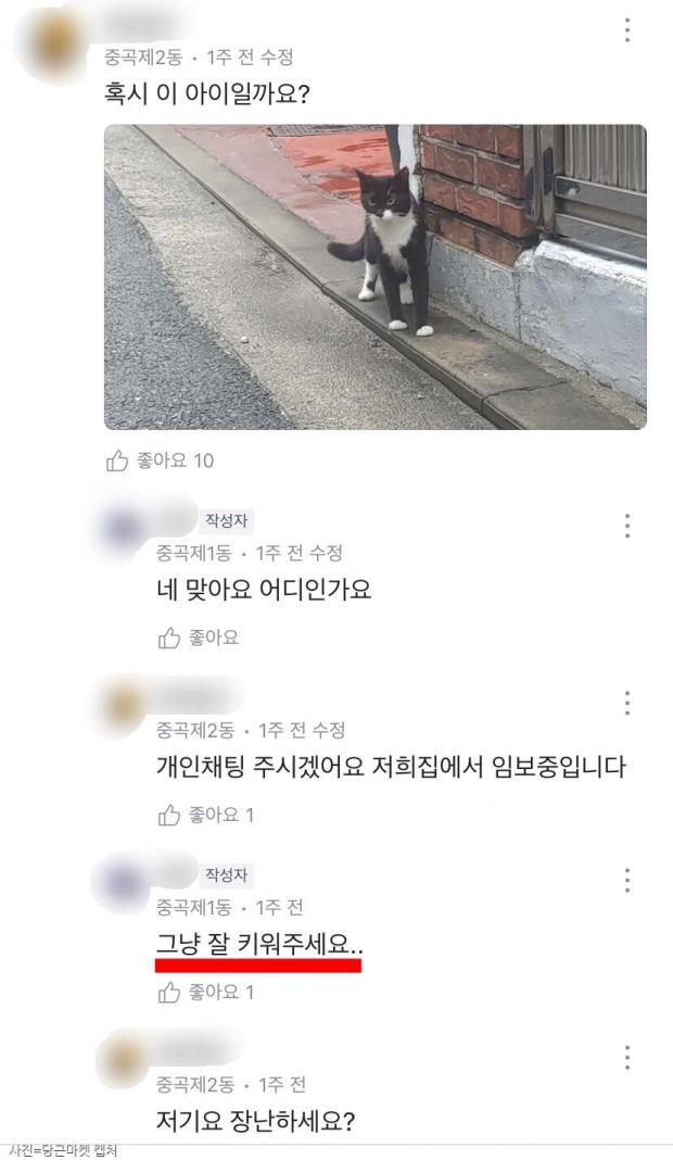 ⓒ노트펫