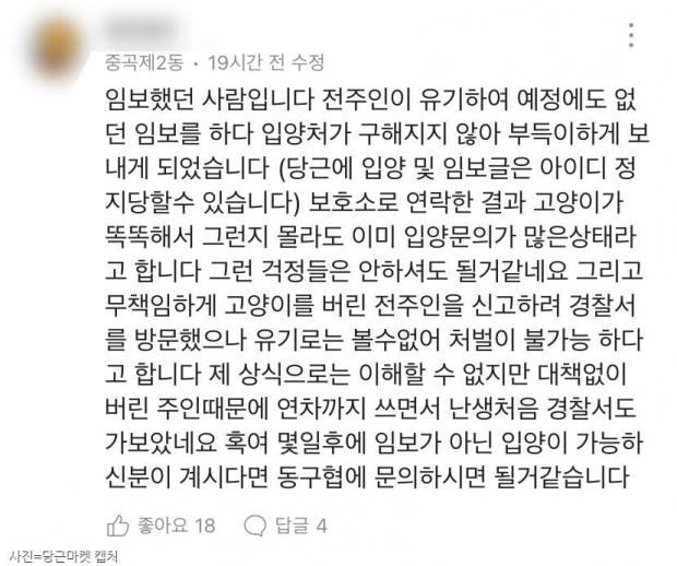 ⓒ노트펫