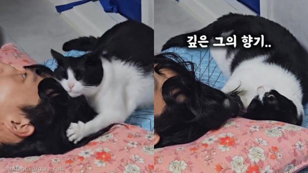 고양이가 제일 좋아하는 냄새가...? '깊은 정수리 향기에 취한다옹' 사진출처 instagram/ggi__cats