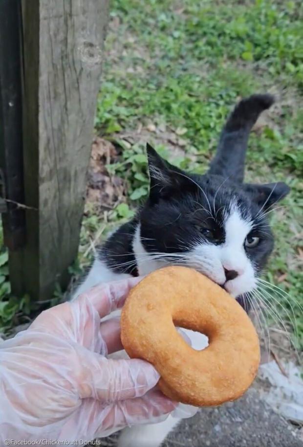 ⓒFacebook/Chickenbutt Donuts 