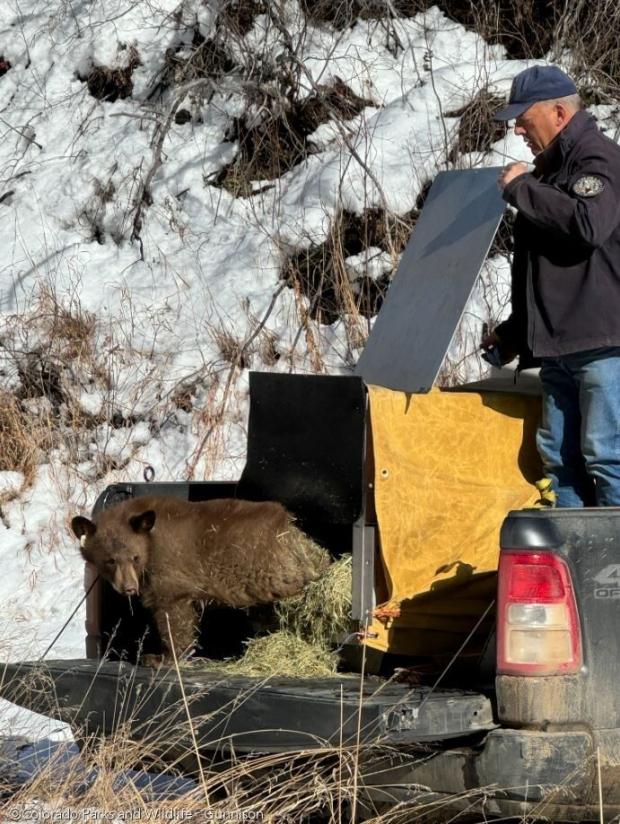 ⓒColorado Parks and Wildlife - Gunnison 