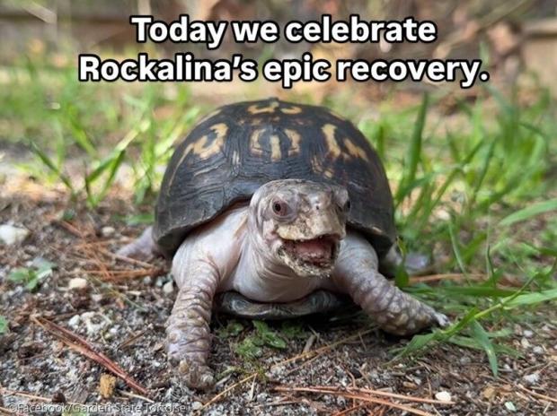 ⓒFacebook/Garden State Tortoise