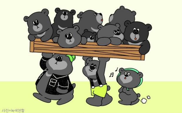 철창 밖으로 '곰곰곰 나가자'..사육곰 구조 위한 특별한 울림