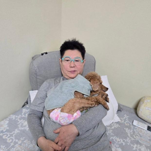 사진