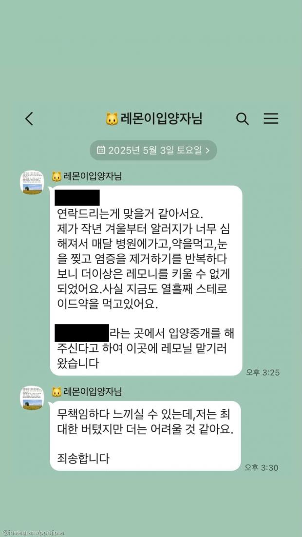 입양자가 레몬이를 맡기기 전 구조자에게 보낸 메시지
