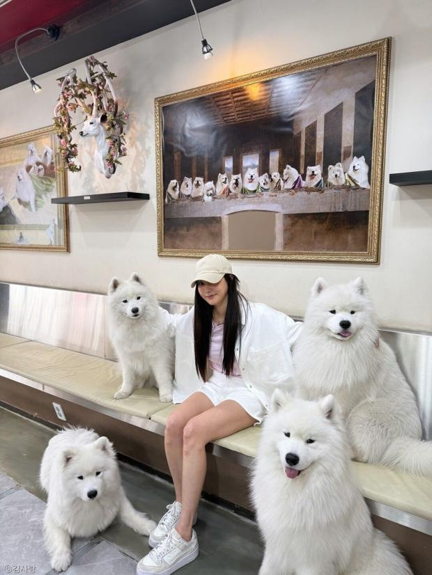 사진