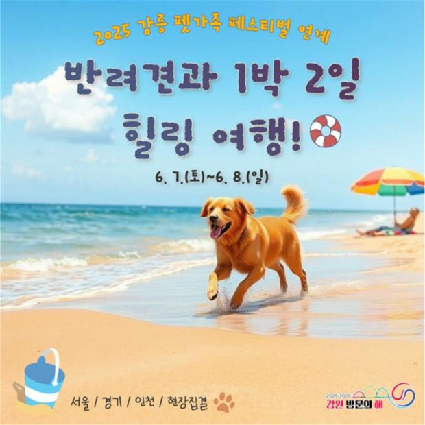 ⓒ노트펫