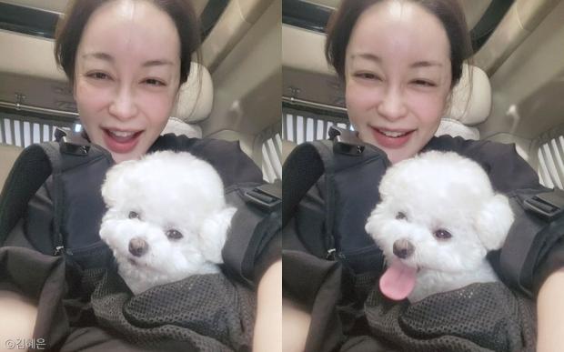 사진