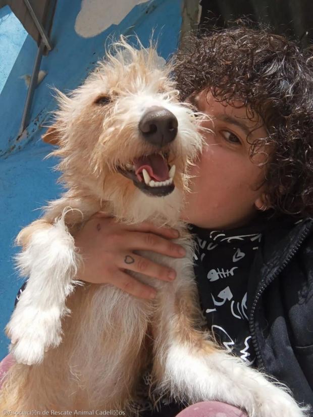 ⓒAsociación de Rescate Animal Cadeliños