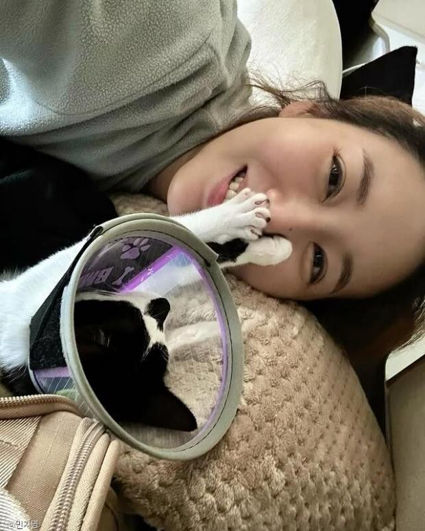 사진
